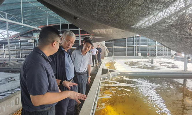 盛云峰会长赴临泽县小屯村开展乡村振兴调研和走访慰问活动